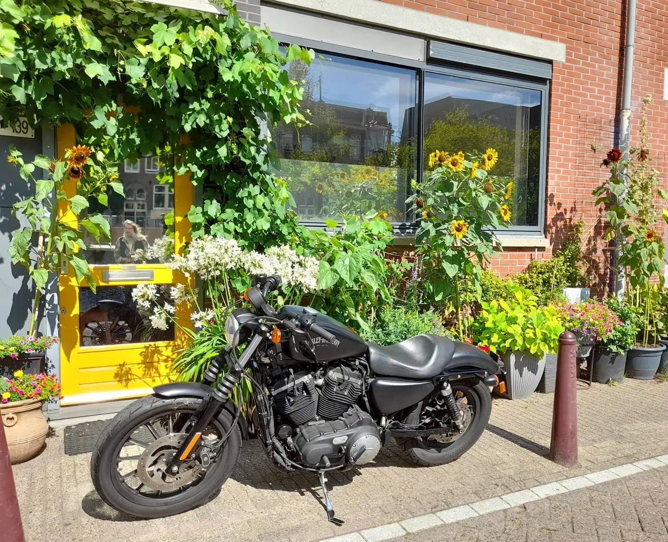 Harley-Davidson Sportster 883 Negru - 1