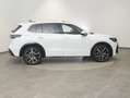 Volkswagen Tiguan Sport eTSI DSG Weiß - thumbnail 6
