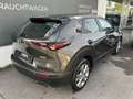 Mazda CX-30 G122 Comfort+ / ACC / Navi Gris - thumbnail 5