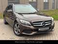 Mercedes-Benz C 250 d 4Matic SERVICE NEU TÜV NEU Brun - thumbnail 2