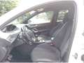 Peugeot 308 1.5 bluehdi Gt Line s&s 130 CV Bianco - thumbnail 11