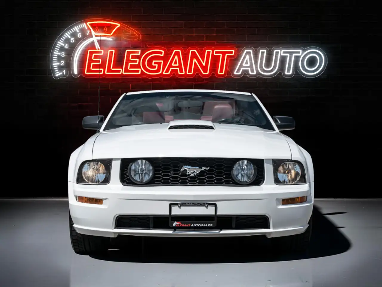 Ford Mustang photo Ford Mustang