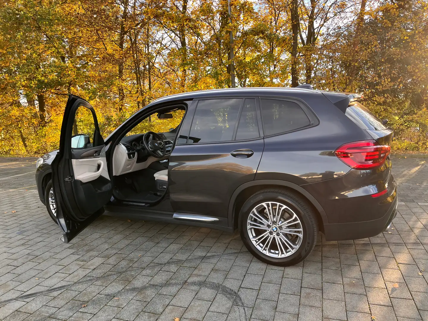 BMW X3 X3 xDrive30i Aut. Luxury Line Bronze - 2