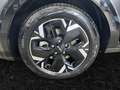 Kia e-Niro Niro EV Long Range 64kWh Platin Aut. Grau - thumbnail 13