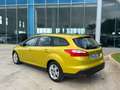 Ford Focus SW 1.6 tdci Plus 115cv Giallo - thumbnail 3