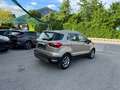 Ford EcoSport Titanium Beige - thumbnail 14