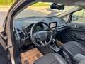 Ford EcoSport Titanium Beige - thumbnail 21