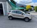 Ford EcoSport Titanium Beige - thumbnail 11