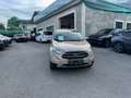Ford EcoSport Titanium Beige - thumbnail 6