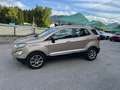 Ford EcoSport Titanium Beige - thumbnail 20