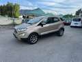 Ford EcoSport Titanium Beige - thumbnail 1