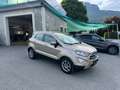Ford EcoSport Titanium Beige - thumbnail 9