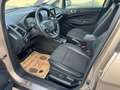 Ford EcoSport Titanium Beige - thumbnail 22