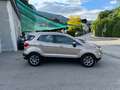 Ford EcoSport Titanium Beige - thumbnail 12
