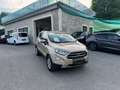 Ford EcoSport Titanium Beige - thumbnail 7