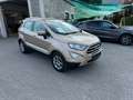 Ford EcoSport Titanium Beige - thumbnail 29
