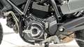 Ducati Scrambler 800 2021 NIGHY SHIFT Grigio - thumbnail 4