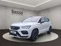 CUPRA Ateca . Blanc - thumbnail 1