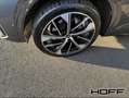 Audi Q5 40 TDI quattro S line 21Zoll AHK Kamera Navi Plus Grau - thumbnail 4