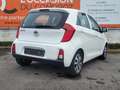 Kia Picanto AUTOMATIQUE Blanco - thumbnail 7