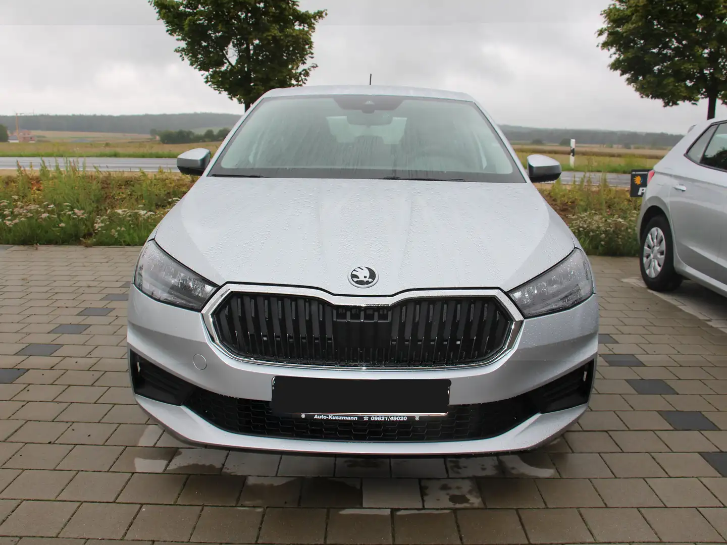 Skoda Fabia Active Silber - 1