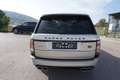 Land Rover Range Rover 4,4l SDV 8 Vogue Gelb - thumbnail 6