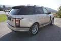 Land Rover Range Rover 4,4l SDV 8 Vogue Gelb - thumbnail 9