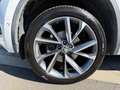 Skoda Kodiaq 4x4 SPORTLINE TDI DSG Weiß - thumbnail 5