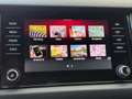 Skoda Kodiaq 4x4 SPORTLINE TDI DSG Weiß - thumbnail 25