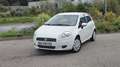 Fiat Grande Punto GRANDE PUNTO 1.2 8V 65 CULT (KIT GRUAU) Blanc - thumbnail 1