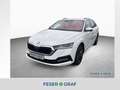 Skoda Octavia Combi Clever 2,0 TDI DSG/AHK/CLIMA 3ZONE Blanc - thumbnail 1