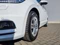 Volkswagen Touran 2.0 TDI DSG Highline LED PANO KAMERA AHK Weiß - thumbnail 8