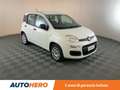 Fiat Panda 1.2 Easy Bianco - thumbnail 8