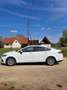 Ford Mondeo Trend 2,0 EcoBlue SCR - thumbnail 1