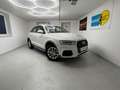 Audi Q3 Quattro *AHK*LED*SITZHEIZUNG*NAVI*GARANTIE* Weiß - thumbnail 3