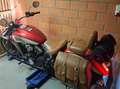 Indian Scout 1133cc Rood - thumbnail 3