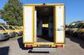 Iveco Daily/ Regalsystem/Luftfeder/KURZ/1. Hand Giallo - thumbnail 6