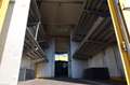 Iveco Daily/ Regalsystem/Luftfeder/KURZ/1. Hand Giallo - thumbnail 7