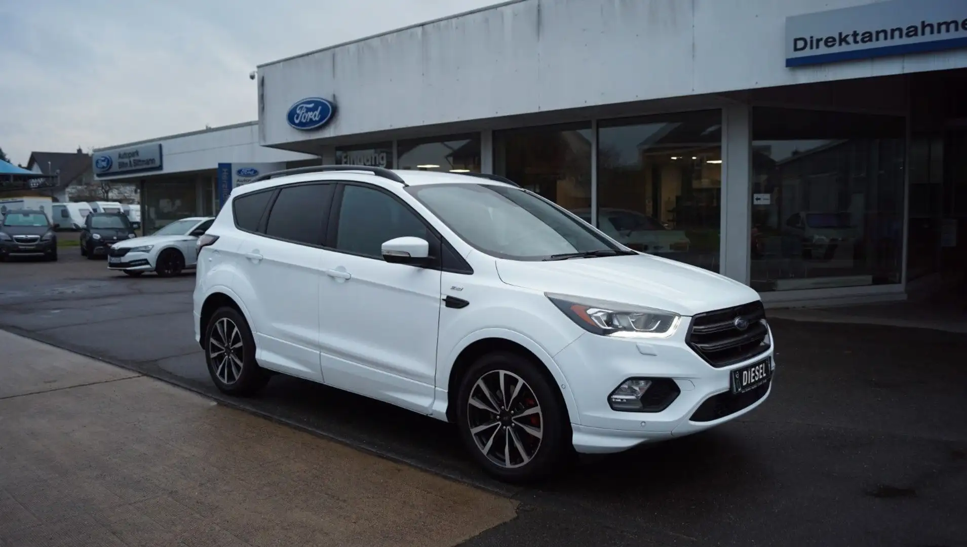 Ford Kuga 2.0 TDCi ST-Line AHK+Nav+Alcan+PDC+SHZ+Lenk Weiß - 1
