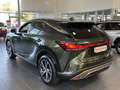 Lexus RX 350h (hybrid) Business Line Vert - thumbnail 6
