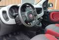 Fiat Panda 0.9 TwinAir Ed. Cool, Zuinige auto, Nieuwe koppeli Wit - thumbnail 8