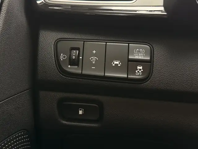 Kia Niro view 17