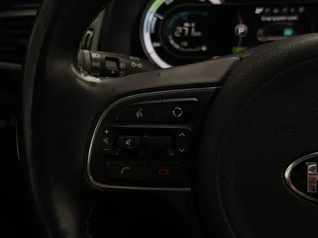 Kia Niro view 13
