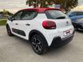 Citroen C3 C3 III  1.2 puretech Shine  Distribuzione eseguita Blanc - thumbnail 6