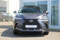 Lexus NX 350h AWD Hybride President Line I Mark Lev. I Pano I Fa Grau - thumbnail 3