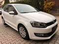 Volkswagen Polo 1.2 TDI 89g CO2 BlueMotion *Klima* Weiß - thumbnail 1