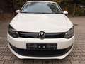 Volkswagen Polo 1.2 TDI 89g CO2 BlueMotion *Klima* Weiß - thumbnail 2