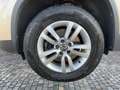 Volkswagen Tiguan Trend & Fun BMT AHK PDC Winterp. Beige - thumbnail 10