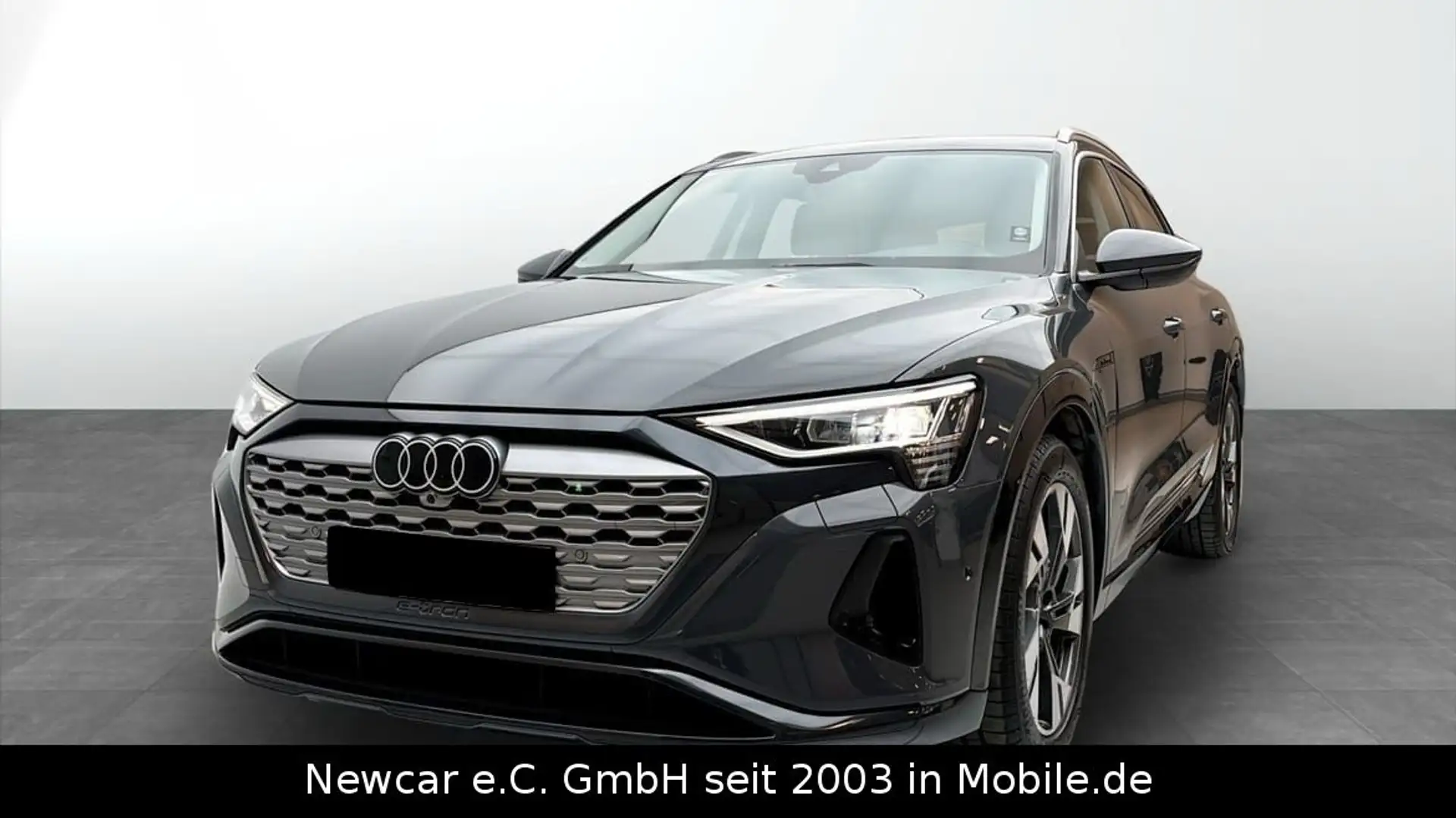 Audi Q8 e-tron 55 quattro advanced*AssiPaket*Memo*LED Gri - 1