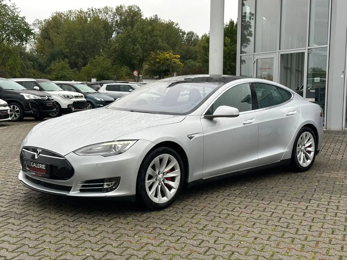 Tesla Model S DuaL PERFORMANCE Grau - 1